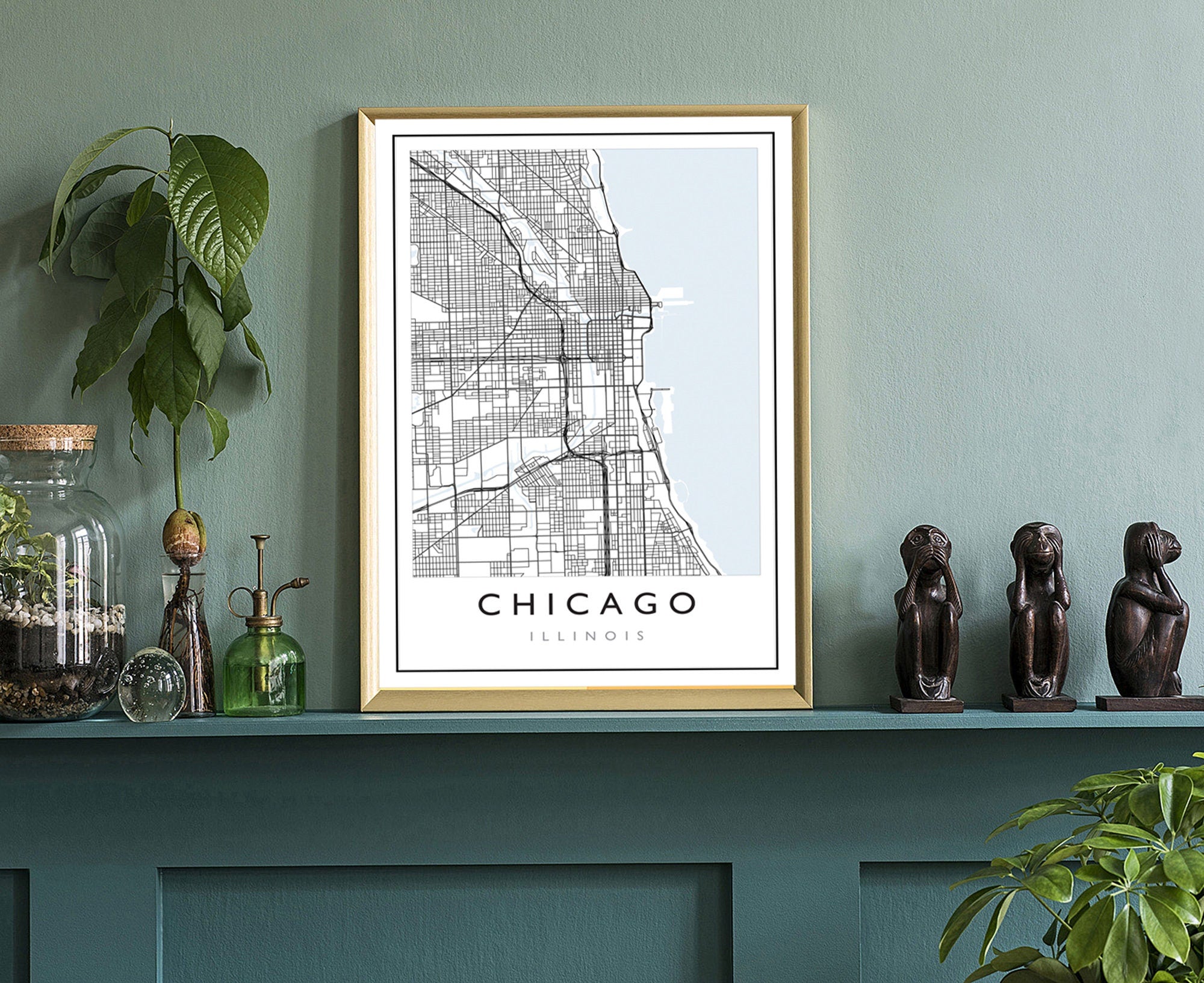 Chicago Illinois City Street Map