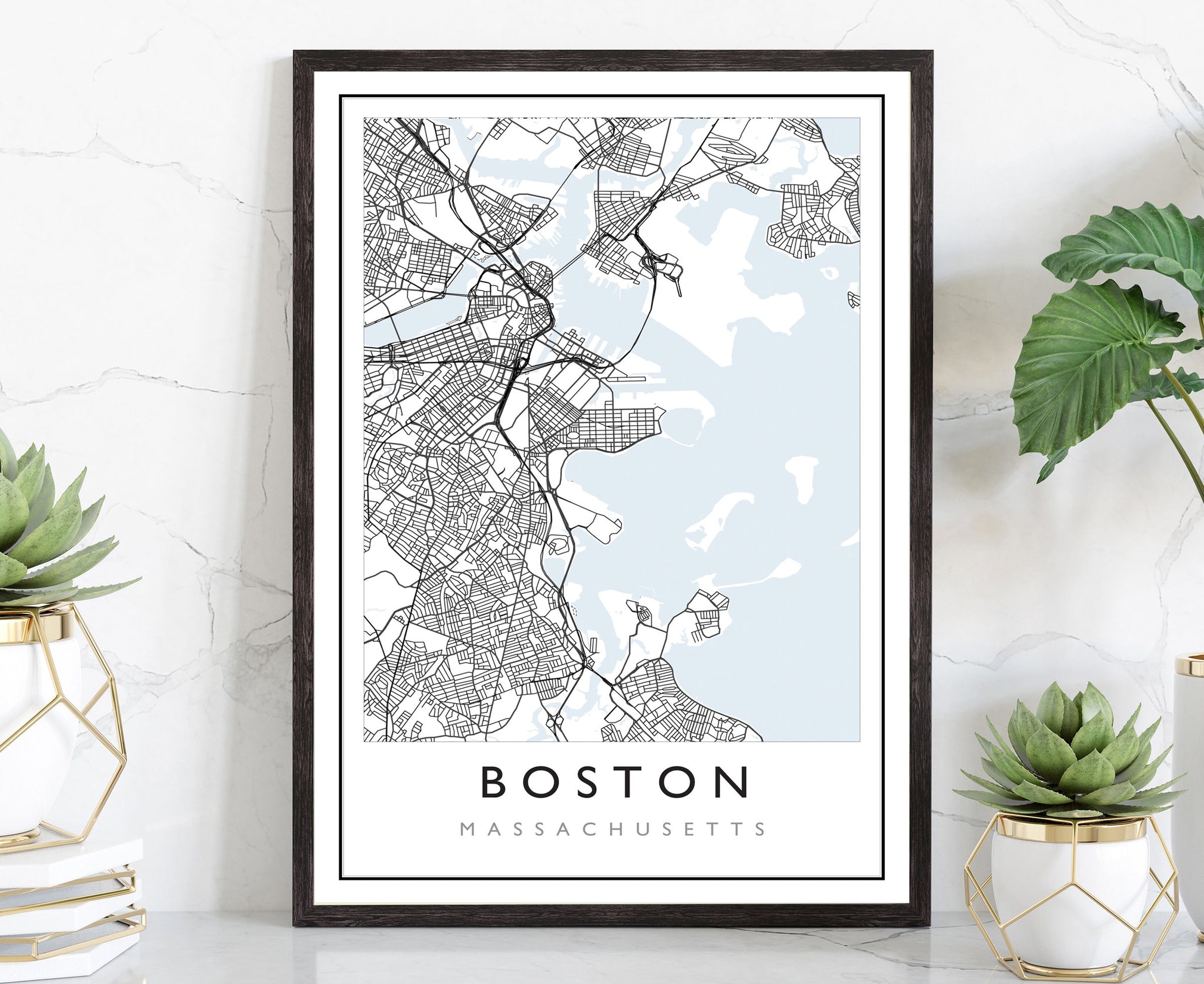 Boston Massachusetts City Street Map