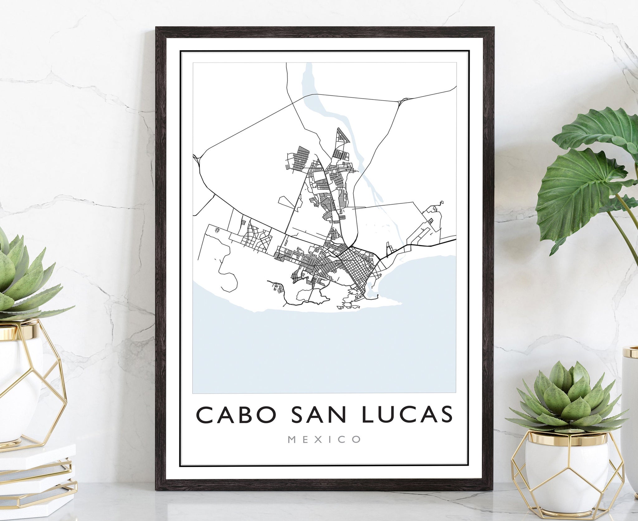 C. San Lucas Mexico City Street Map