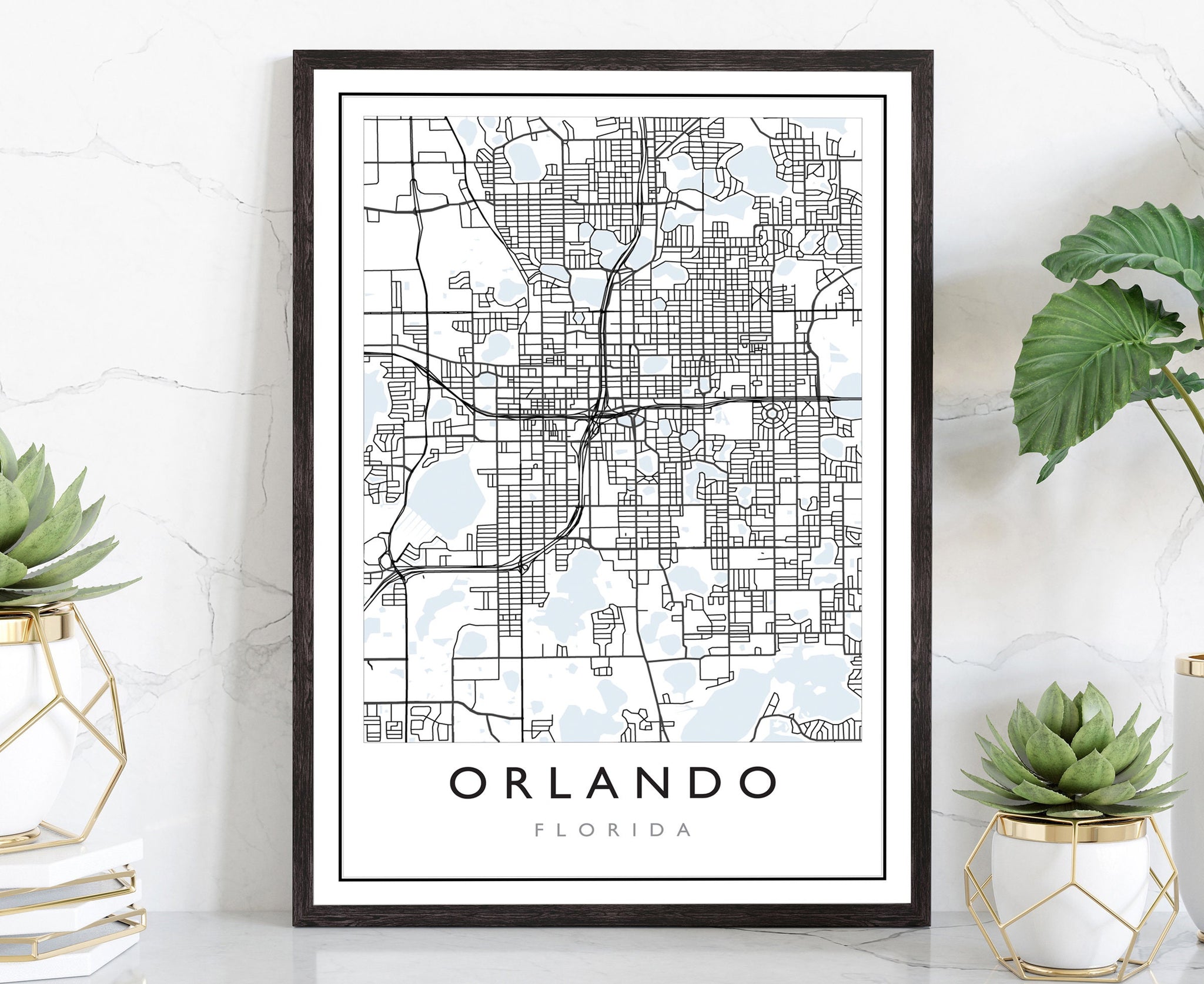 Orlando Florida City Map