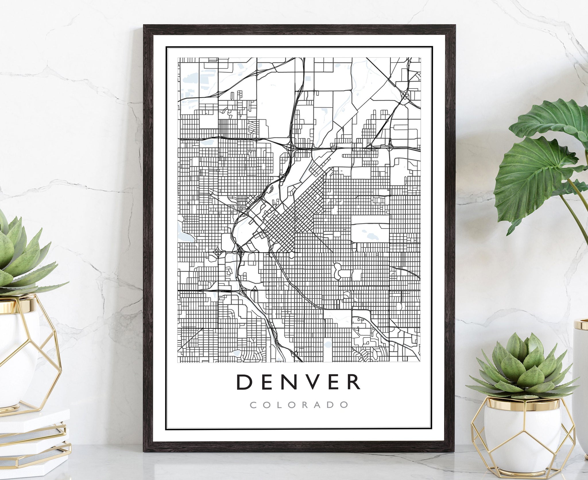 Denver Colorado City Map