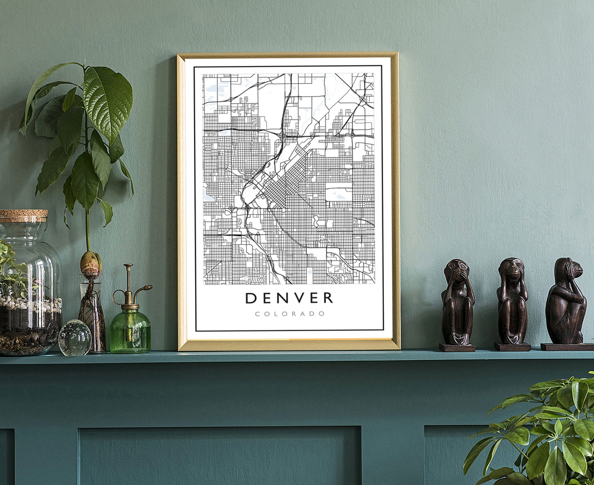 Denver Colorado City Map