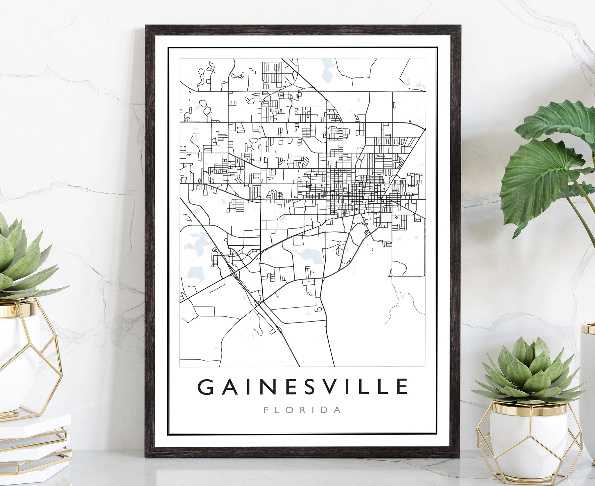 Gainesville Florida City Street Map Print